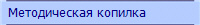 Методическая копилка